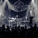 2019_02_15_allegaeon