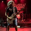 2024_06_02_SHOTGUN_LOGIC